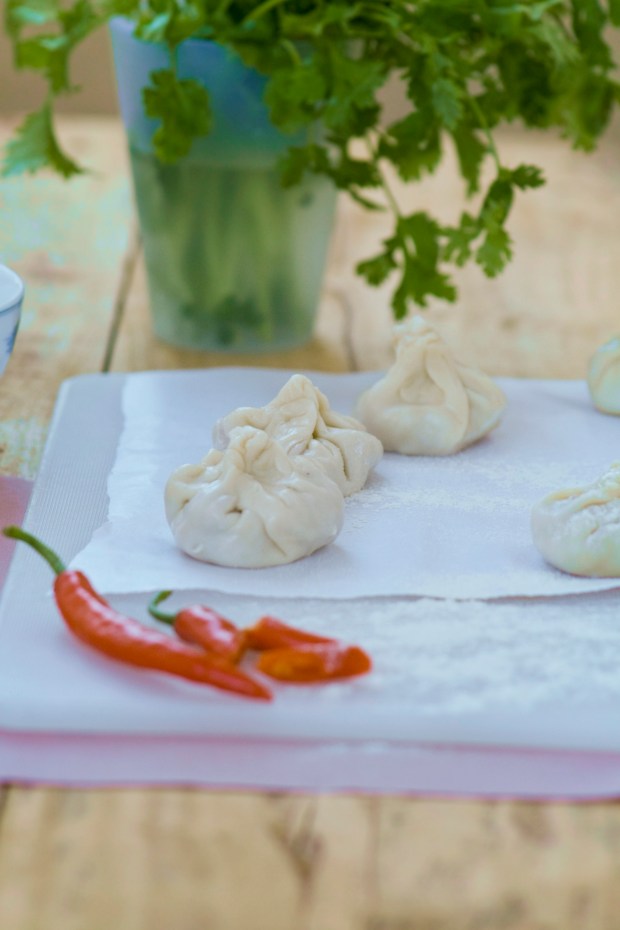 Momo with Curry Sauce