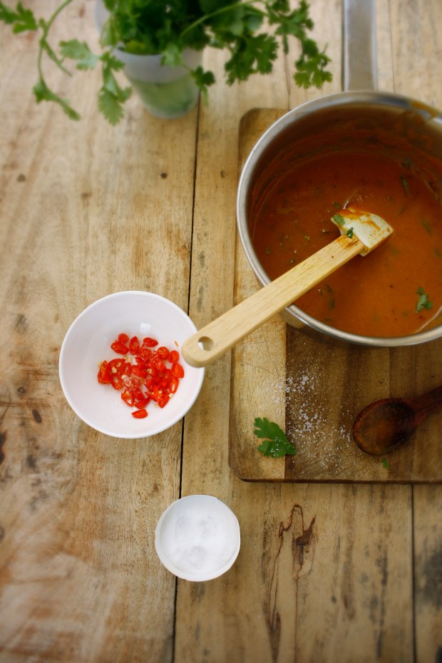 Momo with Curry Sauce