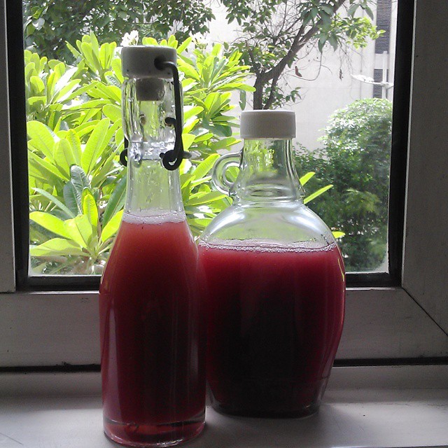 All ready, in the bottles and in the fridge #phalsas #phalsa #summertime #summer #drinks  #squash