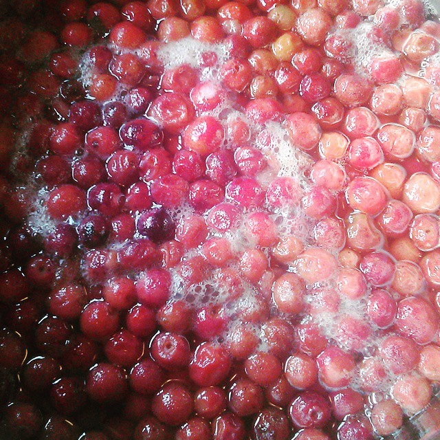 What do you do when you land up buying some exotic fruit that aint too flavorful??? You turn it into a syrup for drinks. Phalsa Squash vibes from the kitchen. #phalsa #juice #homemadefood  #syrup